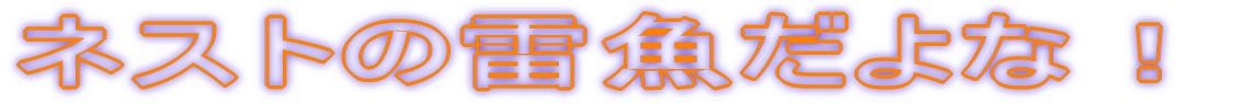 ネストの雷魚だよな!